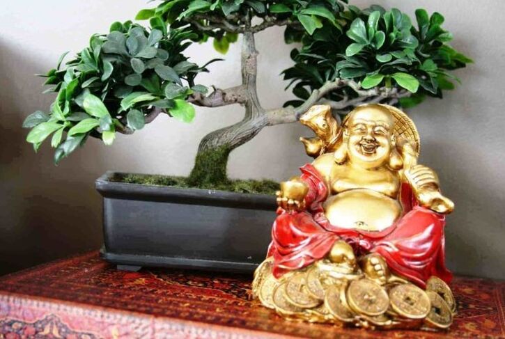 Bonheur et prospérité à la maison selon le Feng Shui